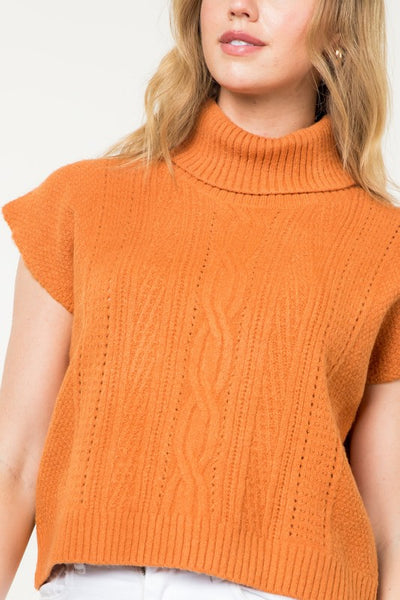 Pumpkin Spice Sweater Top