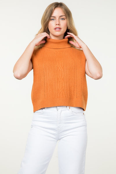 Pumpkin Spice Sweater Top